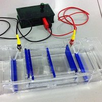 DIY Biolab