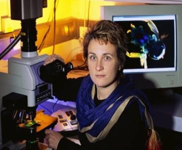 Dr Steffi Reichelt