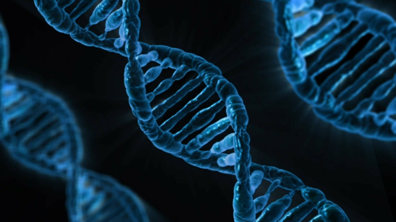Channelling targeted DNA double strand breaks into alternative repair pathways