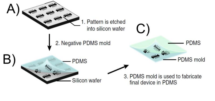 Figure 2.&nbsp;Workflow of Moolman device. A) The patterns are etched into the silicon wafer after the negative resist has been patterned with the electron beam. B) A negative replica of the structures on the silicon wafer is transferred into a PDMS…