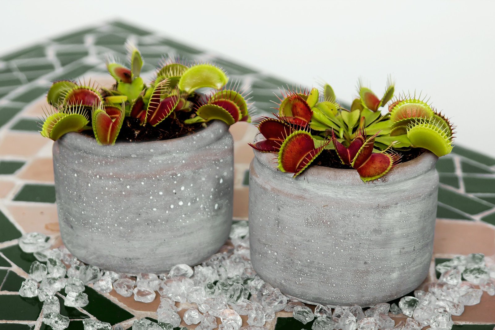 Open Labware for plant electrophysiology