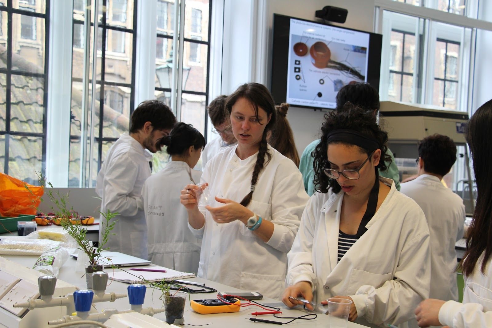 Co-Lab 4.jpg
