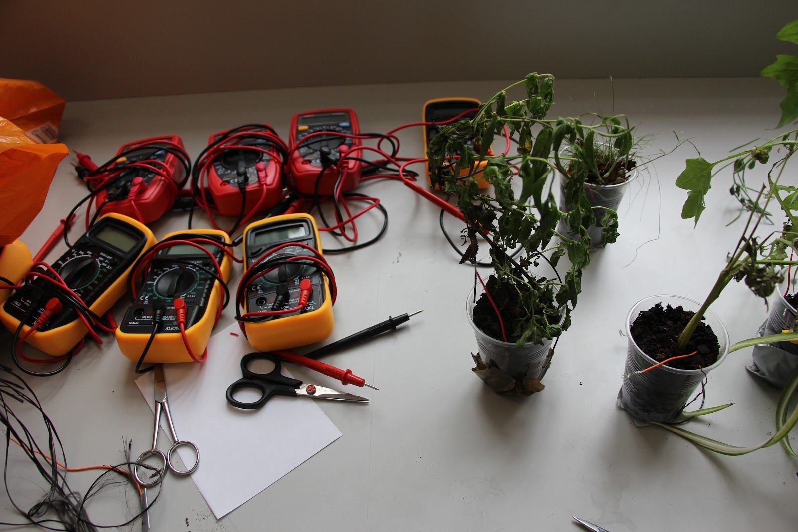 Co-Lab 5.jpg