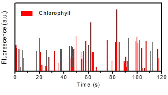 Figure 2: The number of Marchantia protoplasts in microdroplets have been counted by fluorescence-based microdroplets counting system. Each peak represents the chlorophyll fluorescence of one Marchantia protoplast.