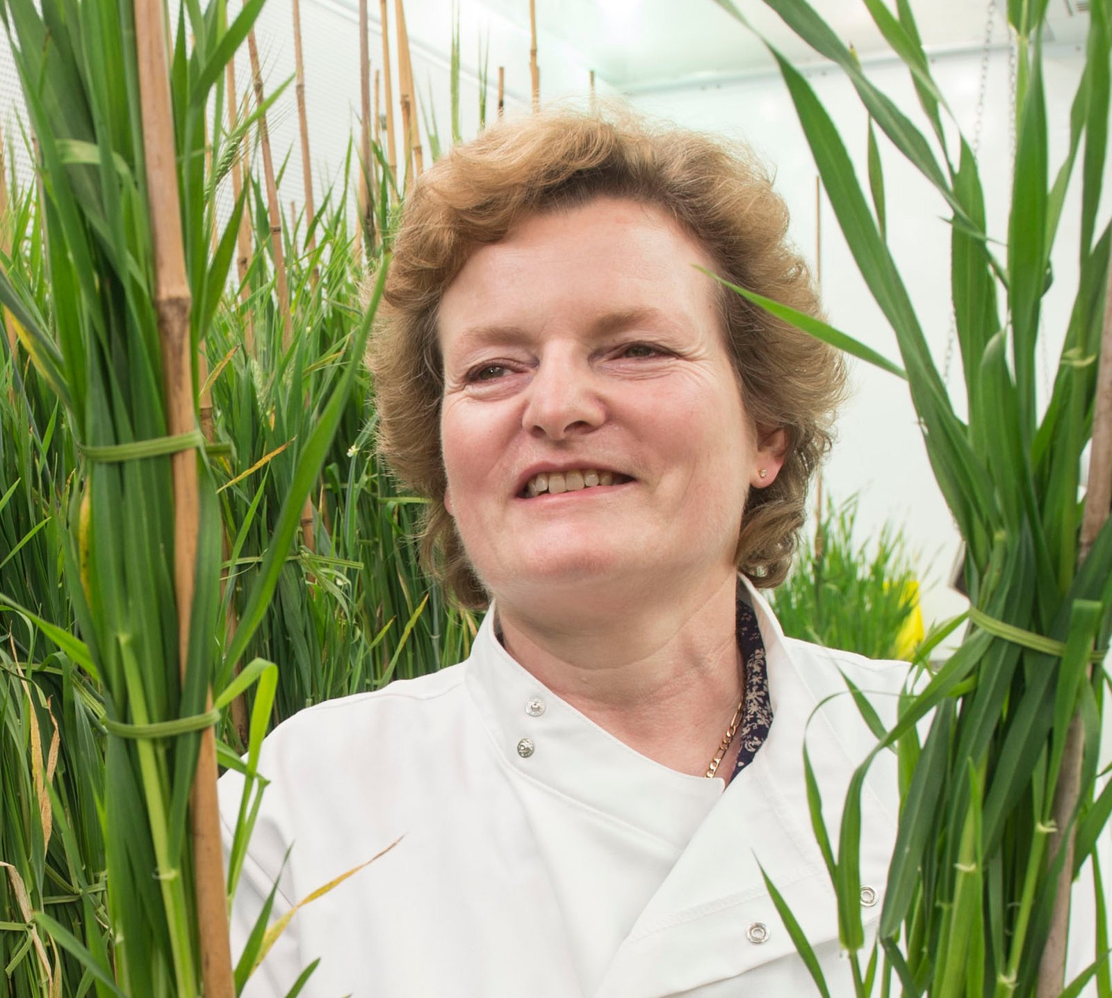 Prof Wendy Harwood
