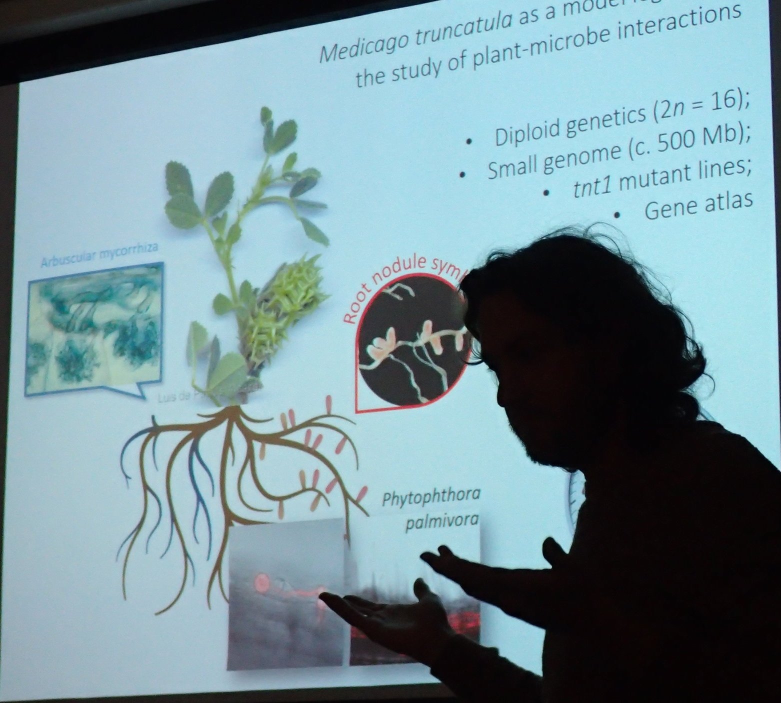 Aleksandr Gavrin pitching his proposal.