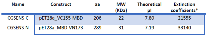 Table 1. Physical and chemical properties of CGSENS-C and CGSENS-N obtained using the ProtParam tool from Expasy. (https://web.expasy.org/protparam). *Extinction coefficients are in units of M-1 cm-1, at 280 nm wavelength water.