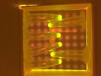 GFP expressed by workshop participants using the E. coli system