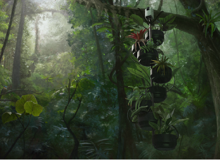 An artistic representation of the pMFC
