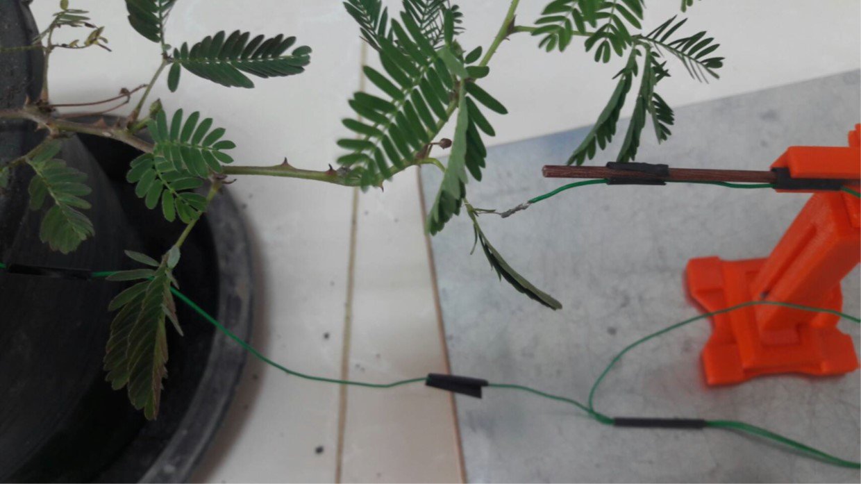 Environmental sensor networks based on plant electrical signalling